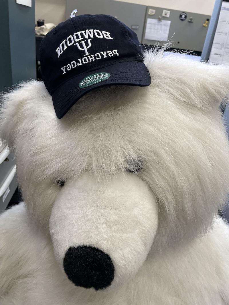 polar-bear-psych-hat.jpg