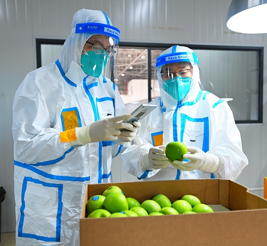 【进出口水果报关】今年进博会首批参展进口水果 ,在上海港口顺利通关