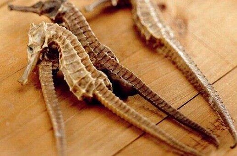 代理进口蛤蚧和干海马的进口报关流程是什么？