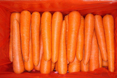 食品出口代理报关|胡萝卜出口报关操作流程及报关所需资料 食品出口代理报关|胡萝卜出口报关操作流程及报关所需资料