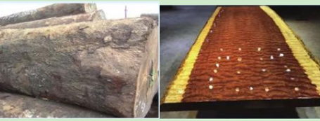 皇冠体育进口许可证