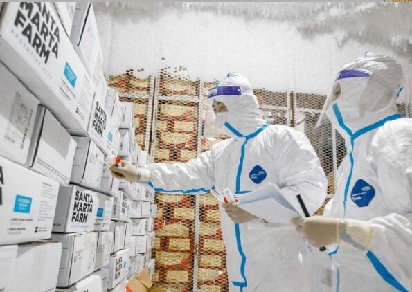 进口冻品国际贸易代理